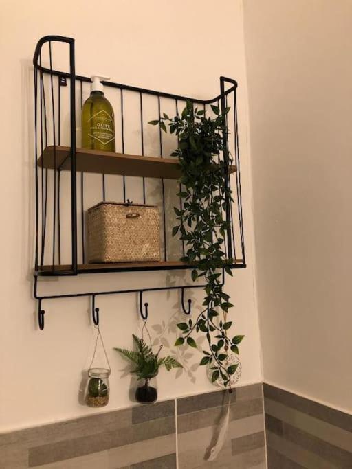 Studio Au Pied De La Cite 卡尔卡松 外观 照片